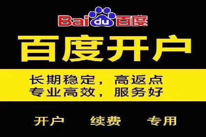 百度竞价包年推广的秘密：揭秘成功背后的策略